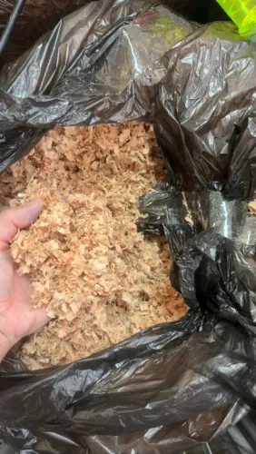 Serragem forraçao pra Hamster ou galinhas 70 Litros