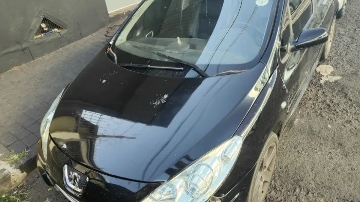 Peugeot 307 Soleil/ Presence 1.6/1.6 Flex 16V 5P 2009