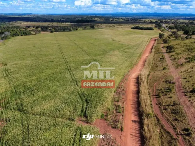 Fazenda 1.323 Alqueires (6.404 Hectares) Miranorte -TO