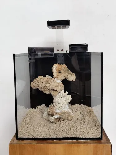 Aquário marinho 27 litros 