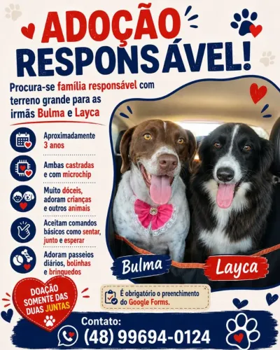 Adoção - Bulma e Layca