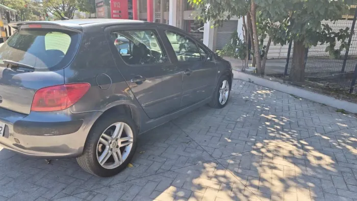 Peugeot 307 Soleil/ Presence 1.6/1.6 Flex 16V 5P 2004