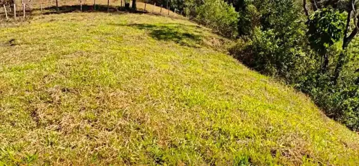 Imóvel para venda possui 5000 metros quadrados em Centro - Delfim Moreira - MG