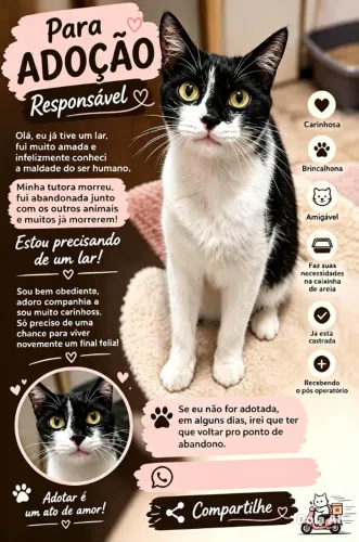 Adoção Consciente de uma Gata Castrada