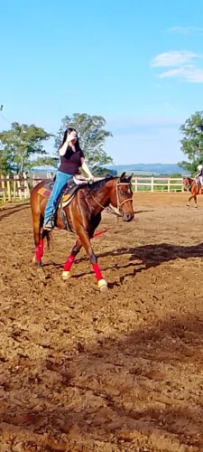Cavalo Quarto de Milha - Para 3 tambores