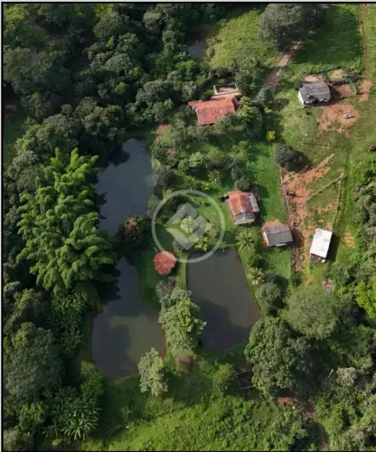 Caldazinha - Fazenda de 16 Alqueires com rio nos fundos codigo: 331633