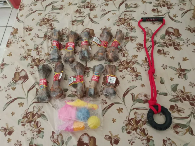 Petiscos e brinquedos para PET! 