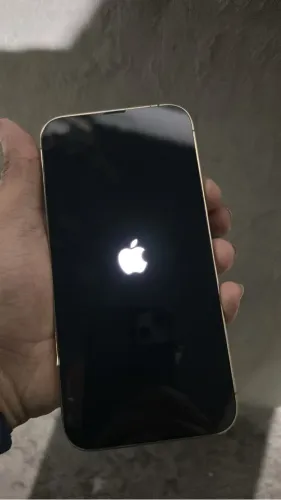 IPhone 13 Pro Max RETIRADA DE PEÇAS
