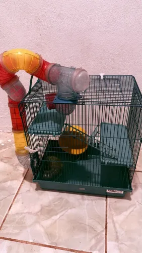 Gaiola para armar-se