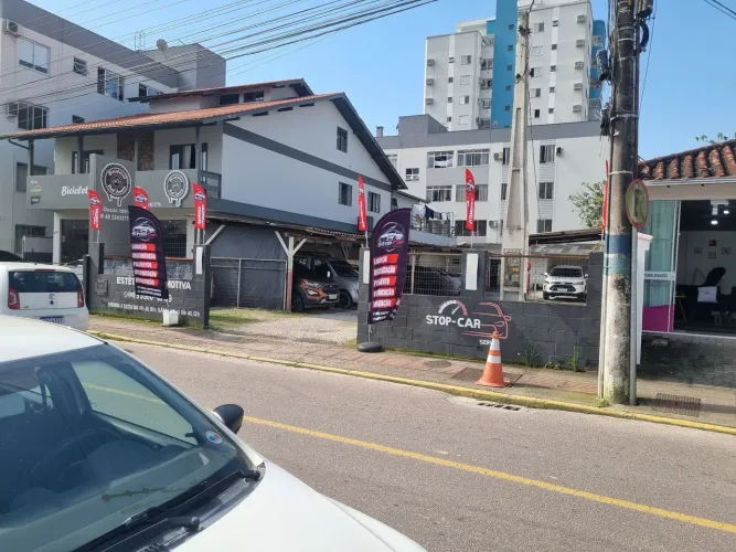 Estética automotiva 