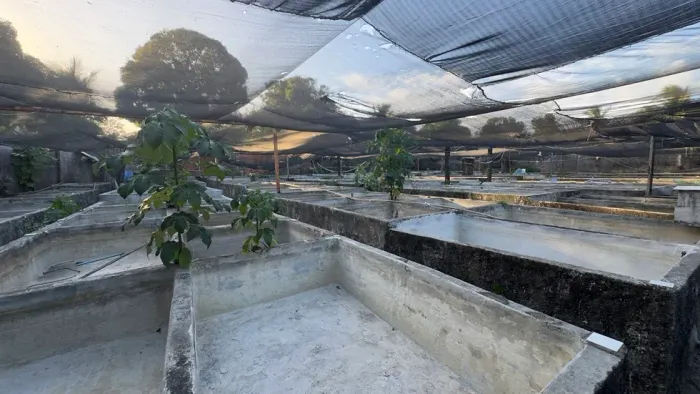 P.COMERCIAL para alugar na cidade de CAUCAIA-CE