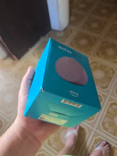 Alexa echo dot