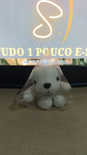 URSINHO DE PELÚCIA PEQUENO- BRANCO
