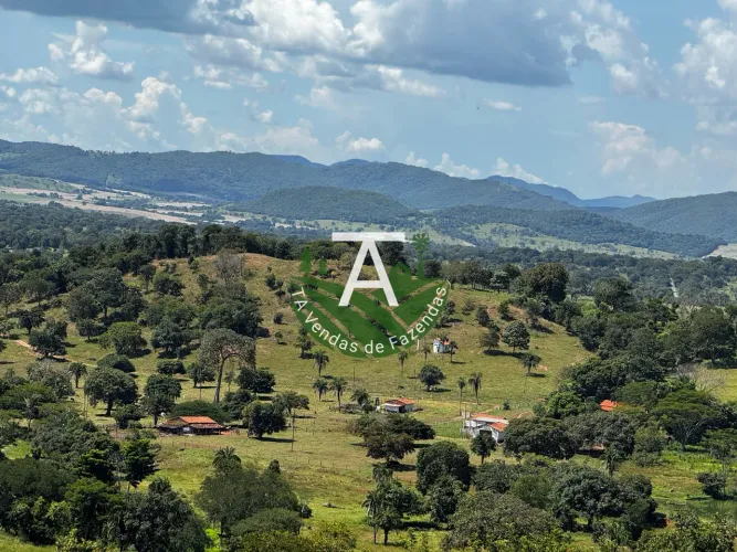 Fazenda em Israelandia GO