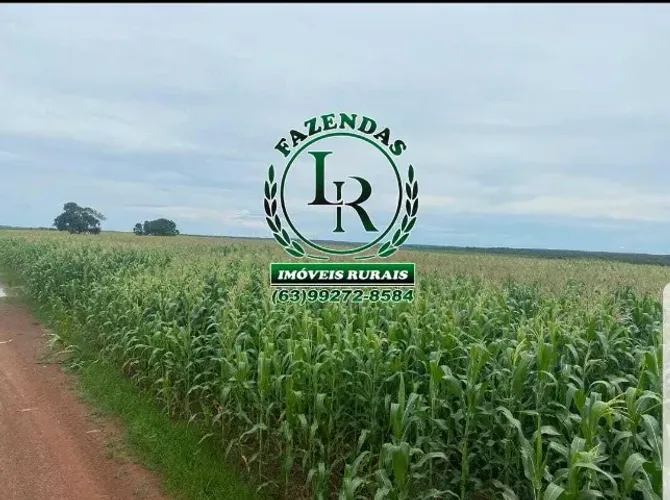 Fazenda com Dívida, Área de 98 Alqueires, (474,32há) Dupla Aptidão
