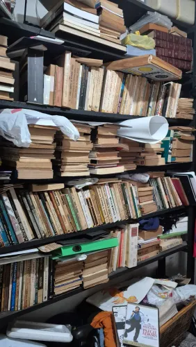 Livros de literatura brasileira e crítica literária
