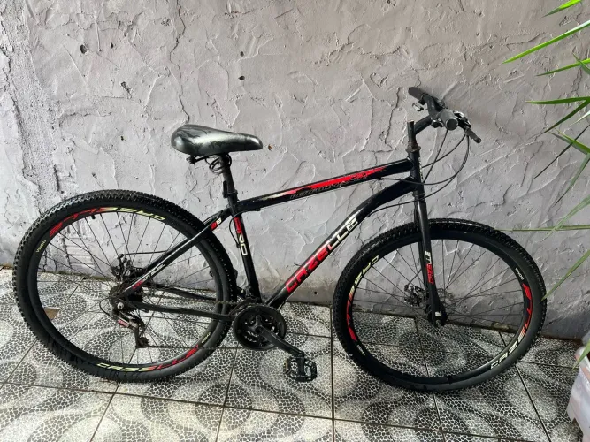 Bicicleta aro 29