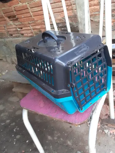 OPORTUNIDADE CAIXA DE TRAMPORTA PET UZADA SEMI NOVA TAMANHO MEDIO NAO ENTREGO 