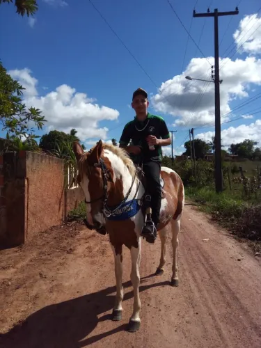 Égua mestiça 