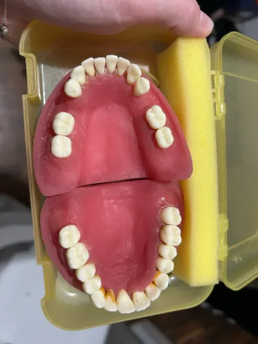 Manequim Periodontia e Cirurgia Pronew