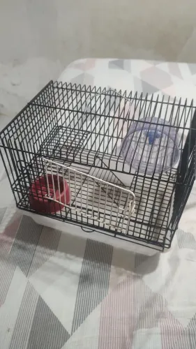 Gaiola para hamster ou camundongo 
