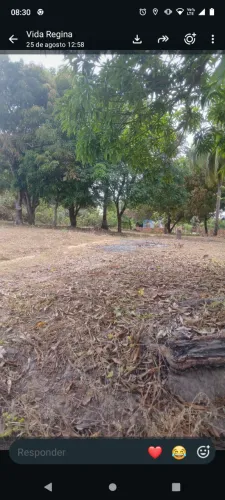 Terreno panaquatira