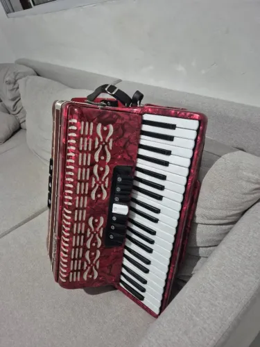 Sanfona 120 baixos com bag