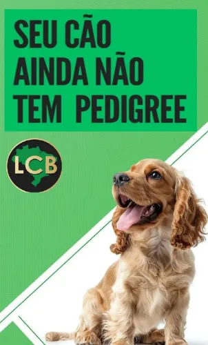Cão de Raça precisa ter Pedigree!!