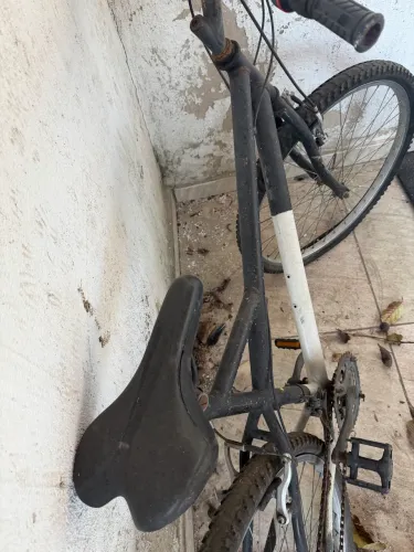 Bike adulto