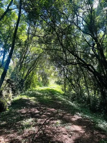 Loteamento fechado com segurança e lazer  perfeito para morar com a família!