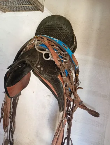 Cela completa no ponto de colocar no cavalo