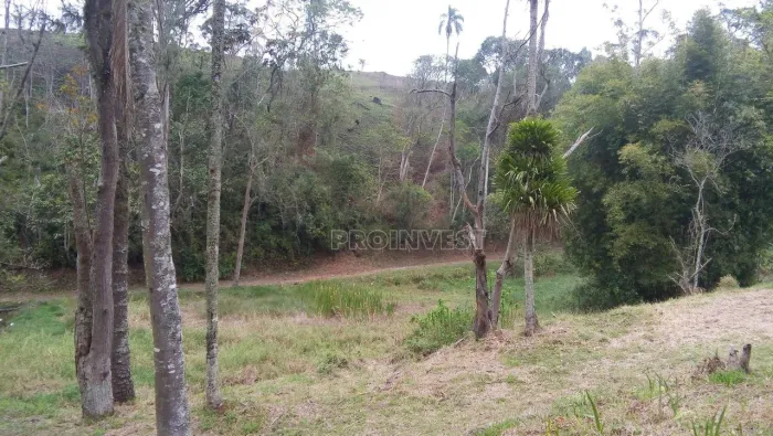 ÁREA RODOVIA RÉGIS BITTENCOURT