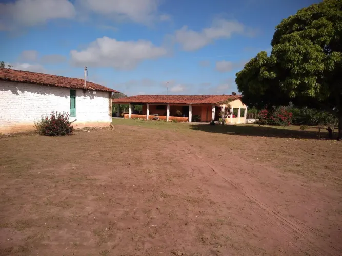Granja em Macaíba 