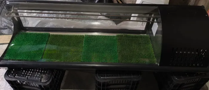 Sushi Case vitrine