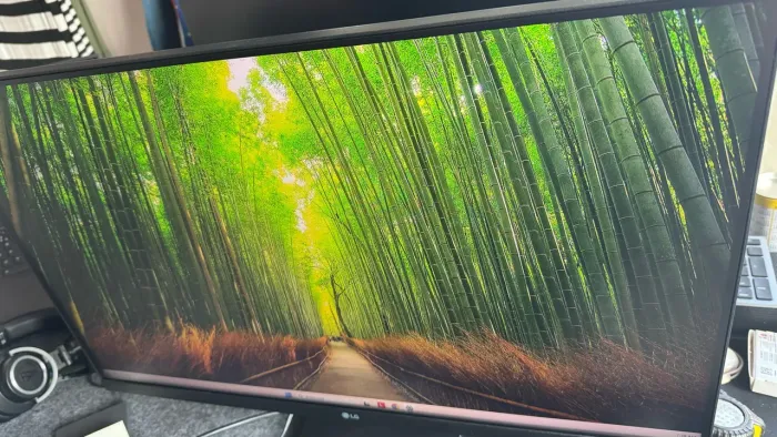 Monitor LG 27 fullHD tela IPS