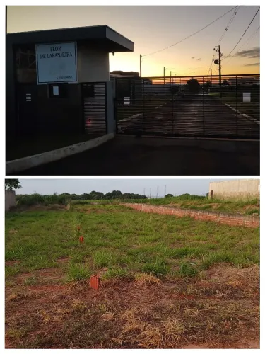 Terreno 500m² em Condomínio Fechado - Flor das Laranjeiras | Mandaguaçu