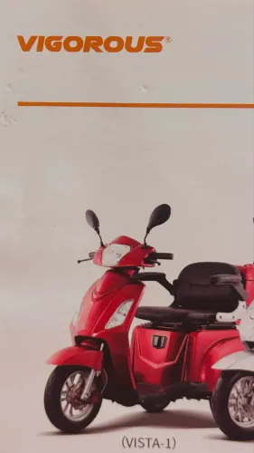 Triciclo elétrico Vigorous