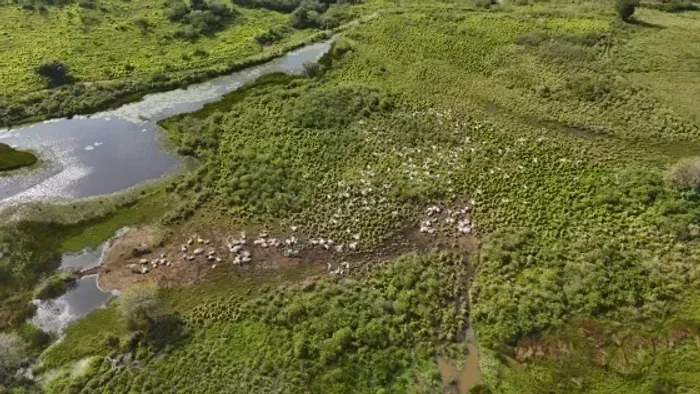 fazenda com 350 hectares na região de Monte Alegre com uma excelente localização