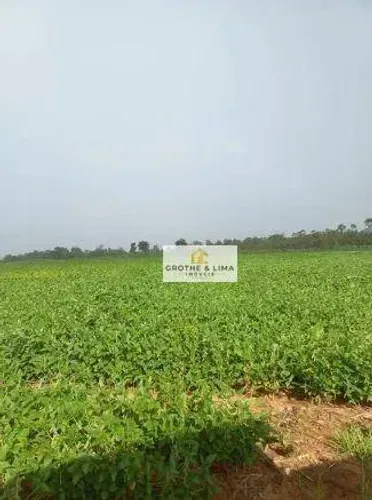 Fazenda à venda na região de Município de Xínguara