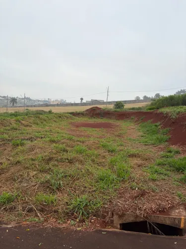 Vendo terreno 300m2 bairro Terra Nova - Rolândia