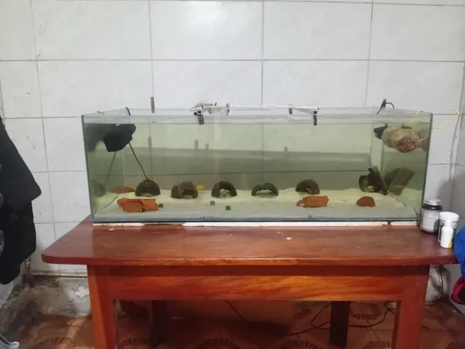 Aquário