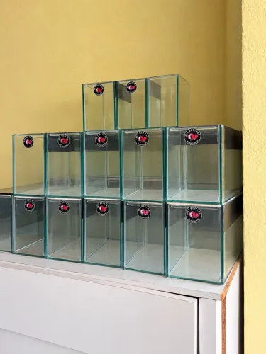 Aquário de 3 litros
