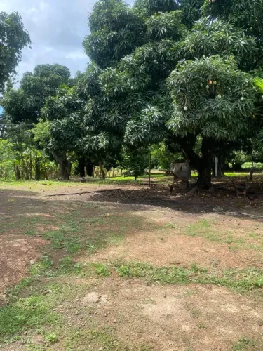 fazenda formada escriturada perto de Formosa