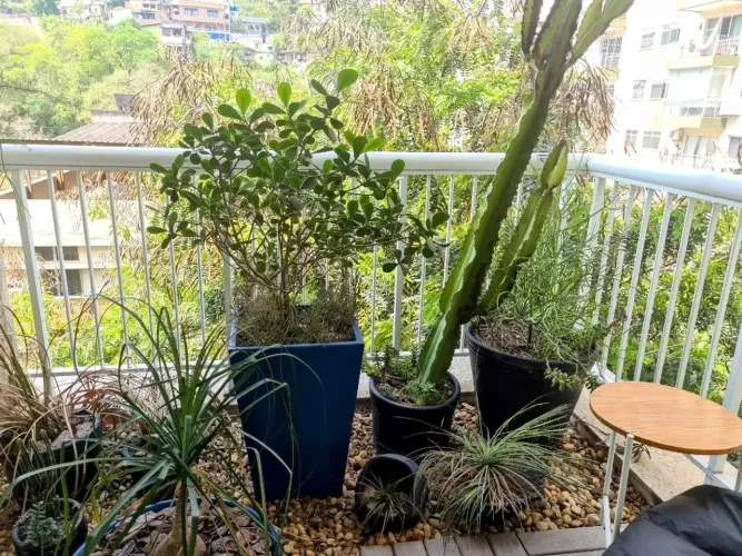 Loft Duplex à Venda em Icaraí 1 Quarto | Varandas | 1 Vaga | Lazer Completo