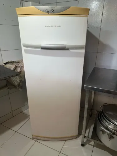 Freezer vertical