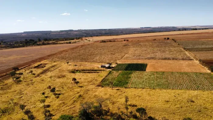 Fazenda de 30 Hectares na Taquara - Planaltina DF  - 100 metros do asfalto