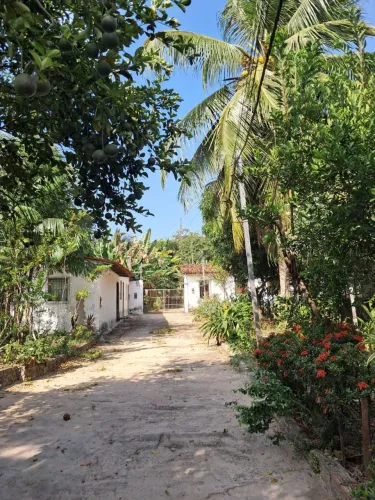 SÍTIO À VENDA EM SÃO LUÍS - 1.925 M²