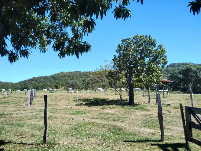 Vendo ou Troco, em  Araguapaz- Goiás!!!