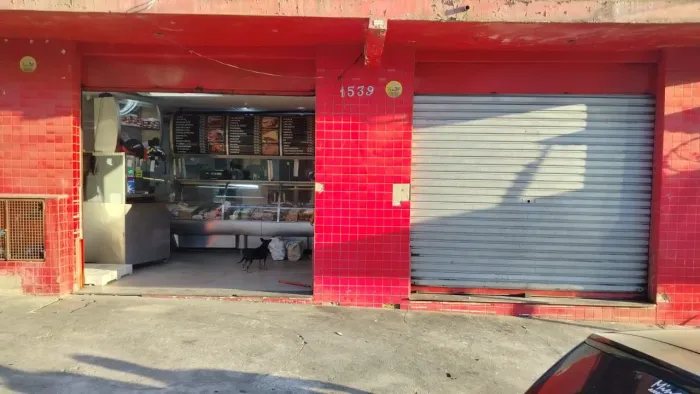 Portas de aço 3 MT largura e 3,60 altura 