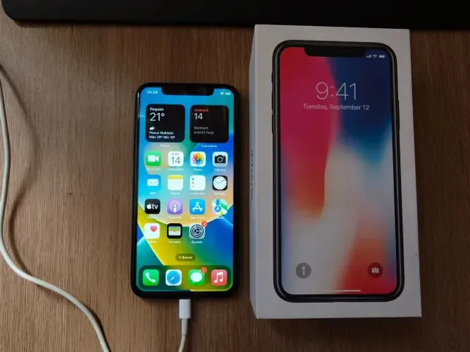 iPhone X
